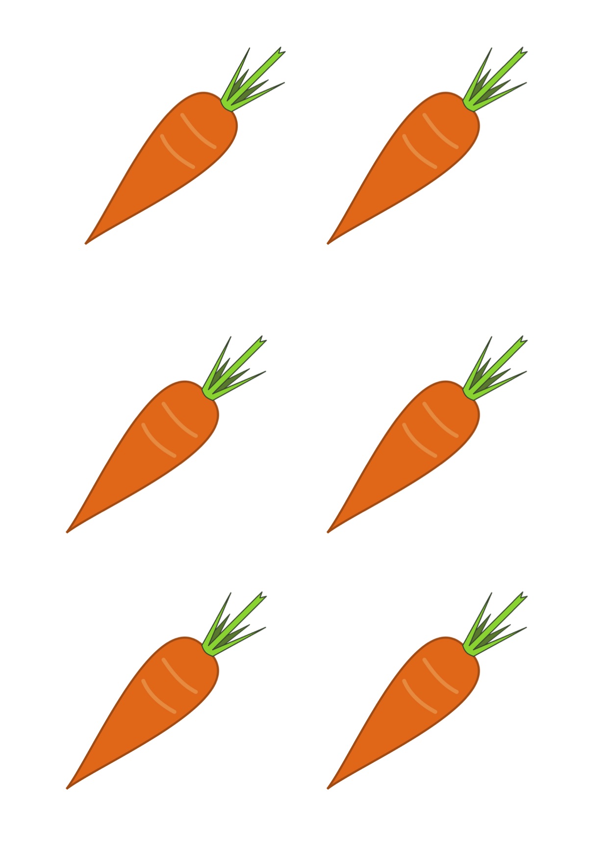 Karotten, Möhren