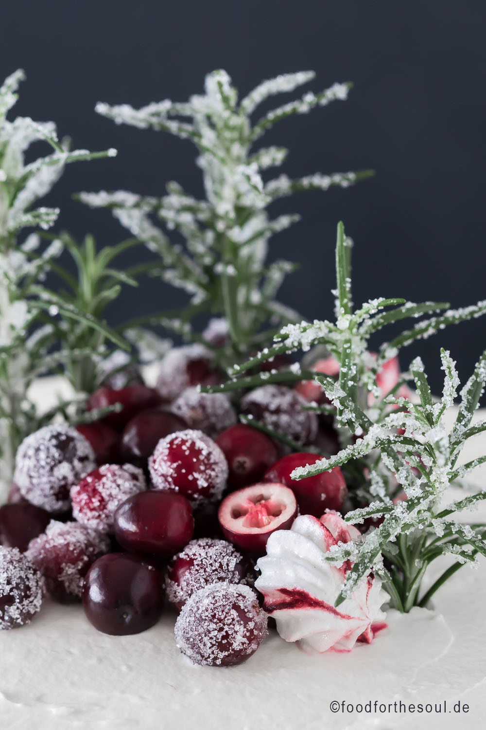 Lebkuchentorte mit Cranberries und Mascarpone Creme - food for the soul