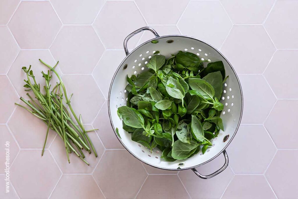 Basilikum Blätter abzupfen für Pesto Genovese - Schritt 3
