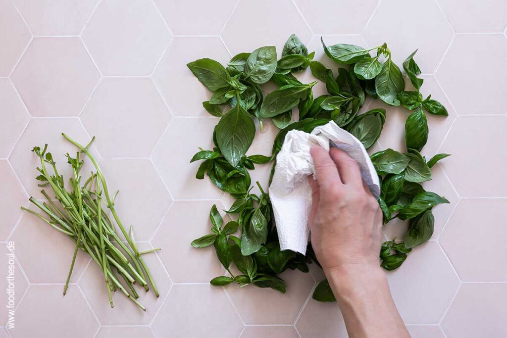 Basilikum Blätter trocken tupfen für Pesto Genovese - Schritt 4