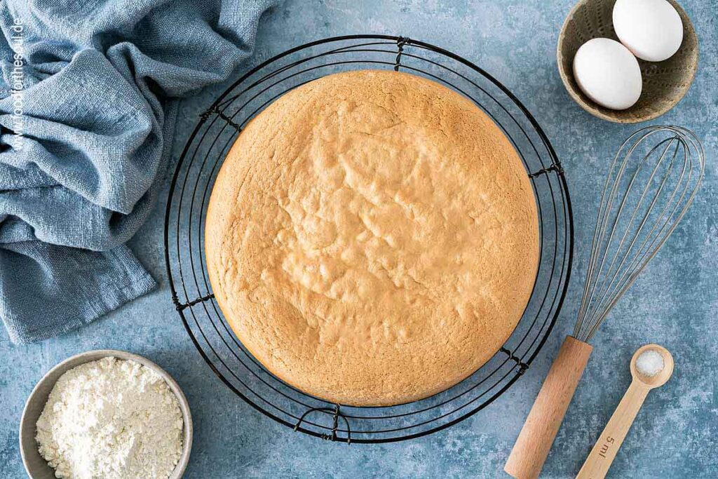 Gebackener Biskuitboden auf einem Auskühlgitter