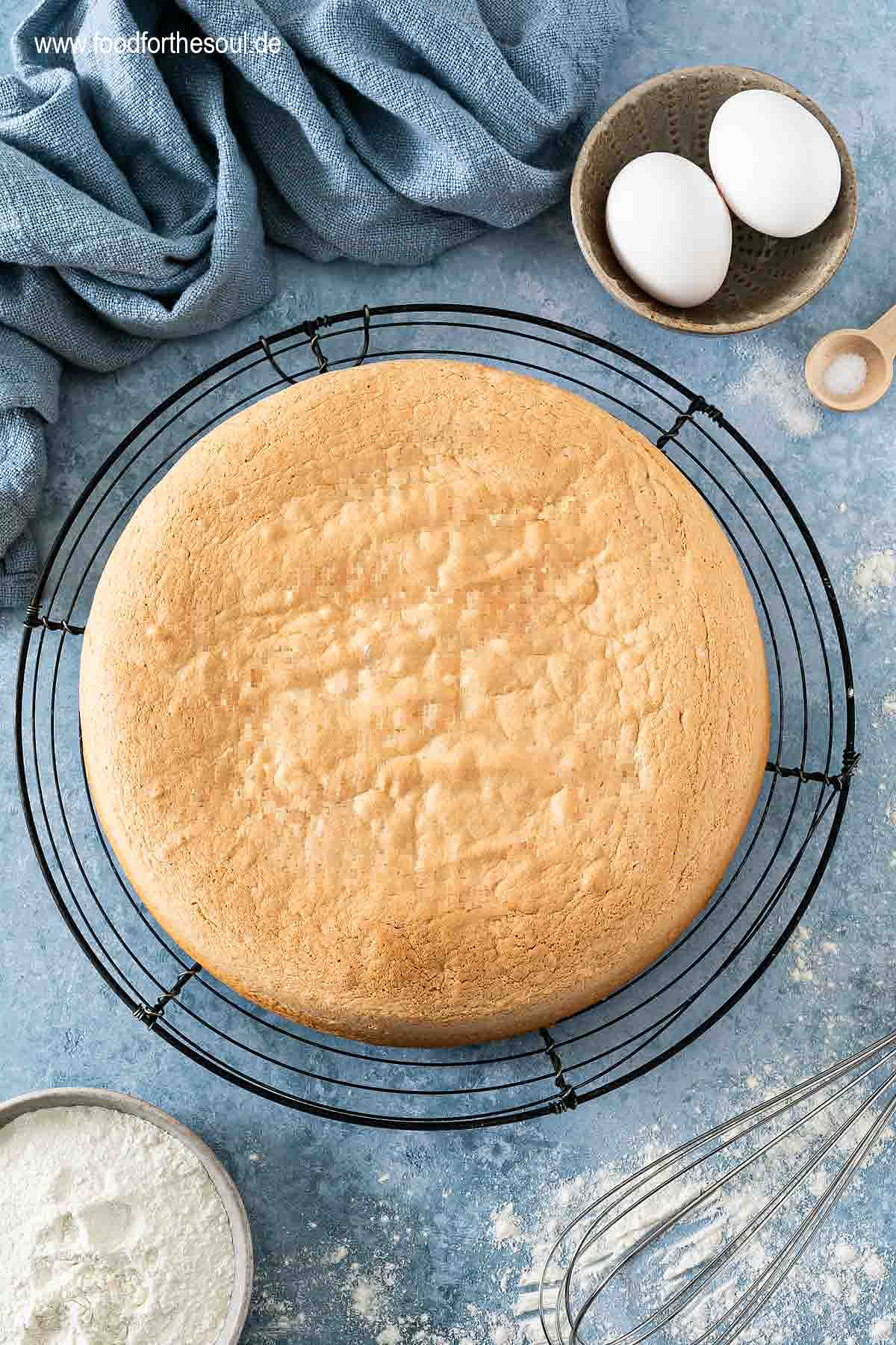 Gebackener Biskuitboden auf einem Auskühlgitter