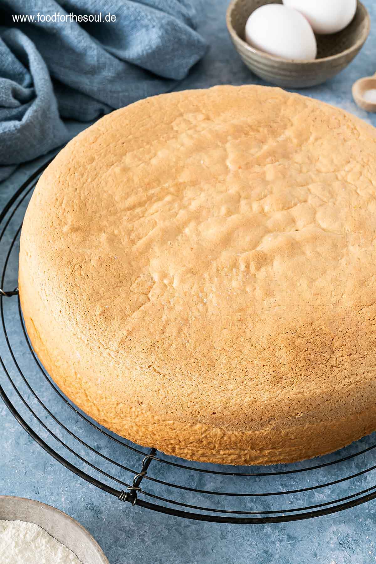 Gebackener Biskuitboden auf einem Auskühlgitter