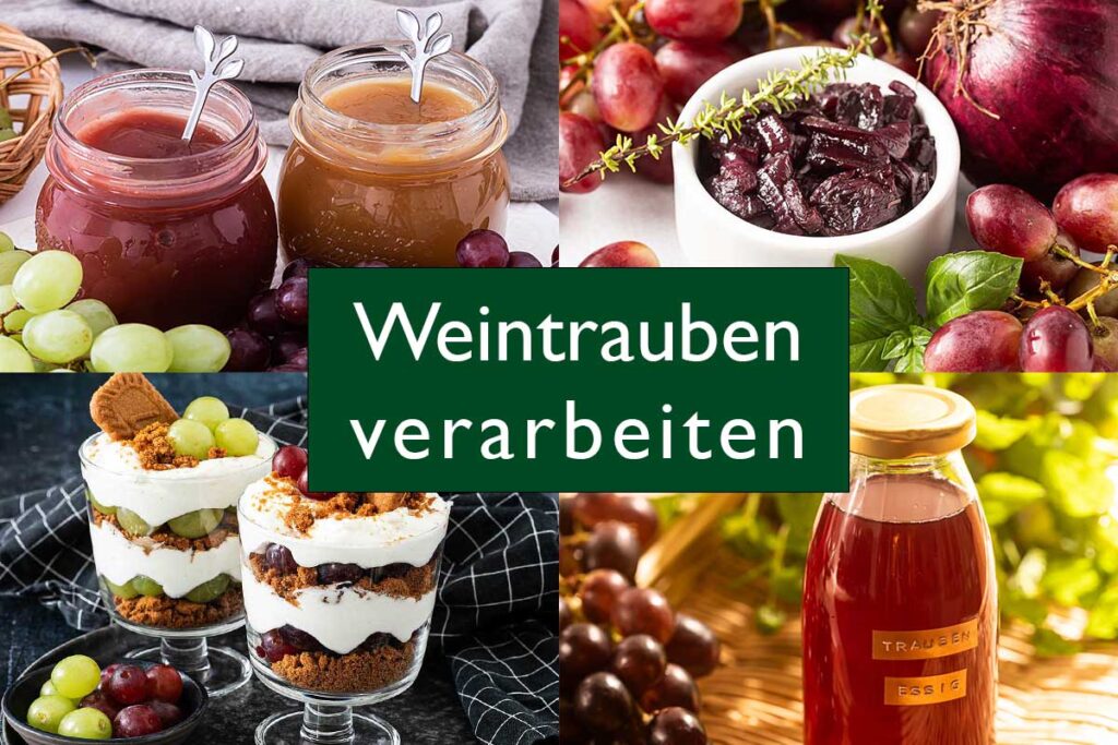 Weintrauben Dessert, Chutney, Marmelade und Essig
