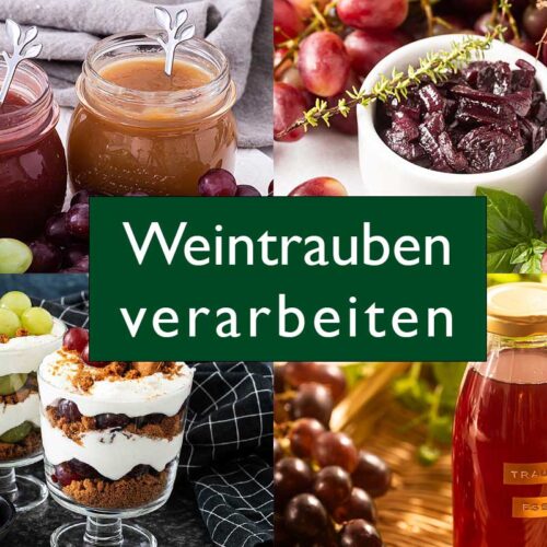 Weintrauben Dessert, Chutney, Marmelade und Essig