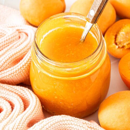 Frisch gekochte Aprikosen-Marmelade in einem Schraubglas